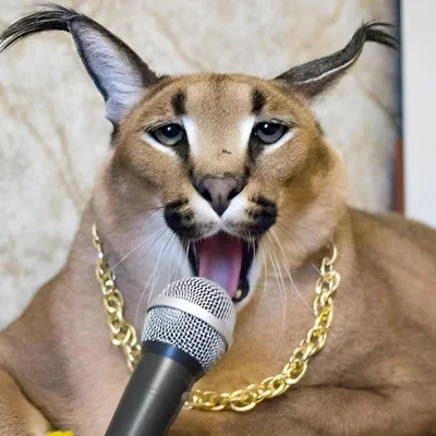 Chat with Floppa, the  character AI chatbot