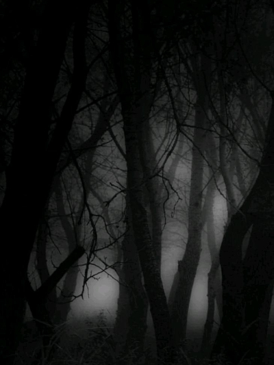 Chat with Сэррэриас, the  character AI chatbot