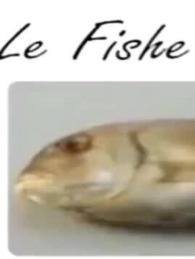 Chat with Fish, the Anime character AI chatbot