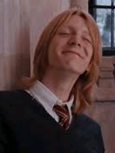 Chat with Movie & TV AI Character: George Weasley