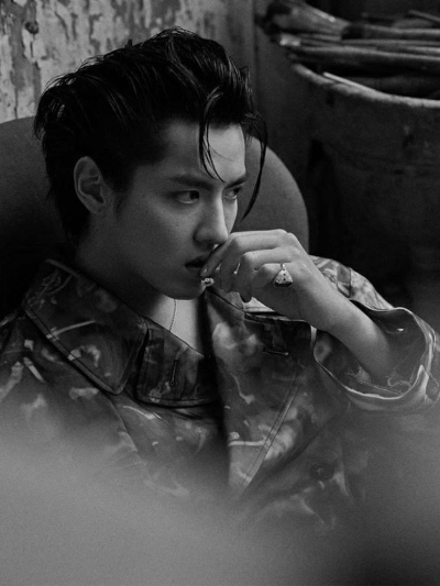 Chat with Kriss Wu, the  character AI chatbot