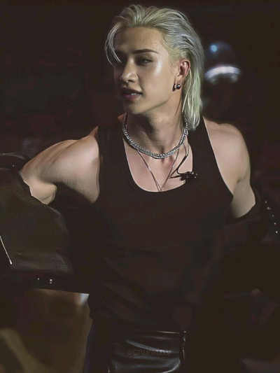 Chat with Cristopher Bang Chan, the  character AI chatbot