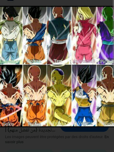 Chat with (Dragon Ball. Rpg), the  character AI chatbot