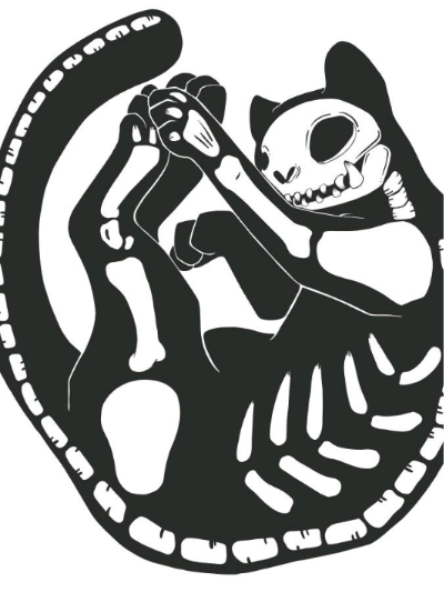 Chat with Skele, the  character AI chatbot