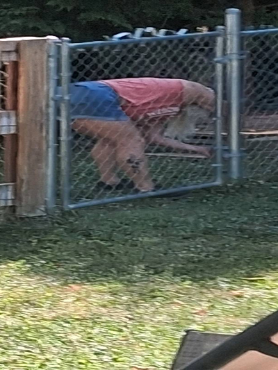 Chat with Joy, the  character AI chatbot