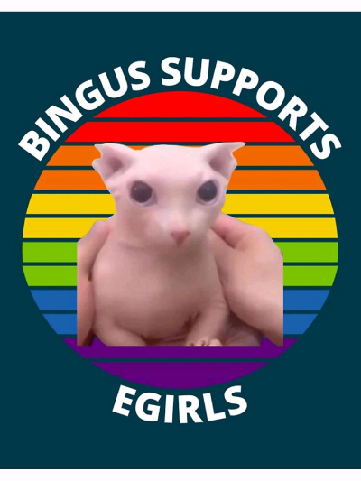 Chat with Bingus, the Romance character AI chatbot