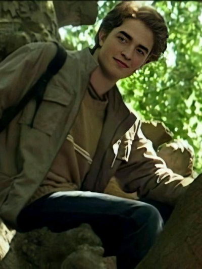 Chat with Movie & TV AI Character: Cédric Diggory
