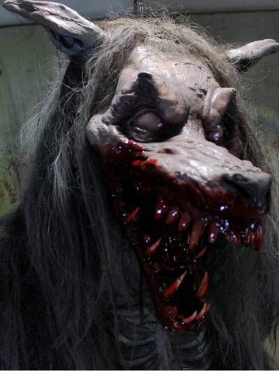 Chat with Zaren, the OC character AI chatbot