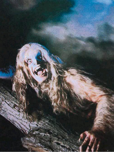 Chat with Werewolf, the  character AI chatbot