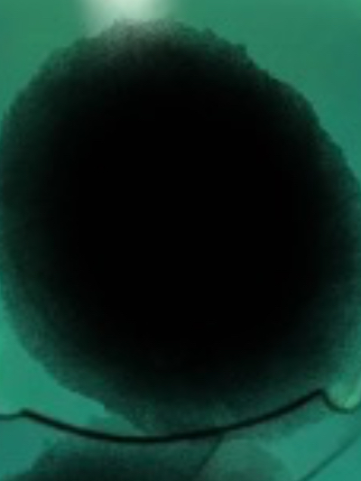 Chat with Slave, the  character AI chatbot