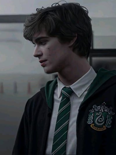 Chat with Theodore Nott, the Movie & TV character AI chatbot