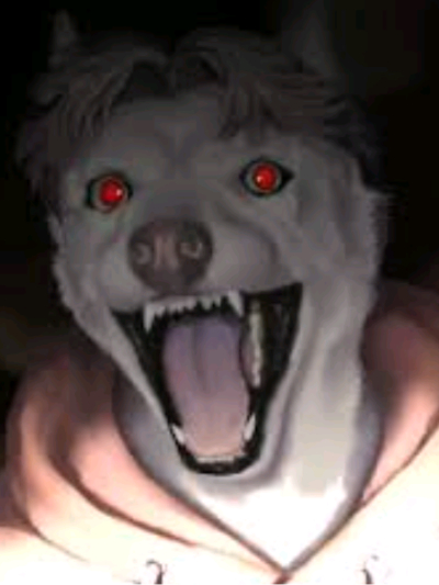 Chat with Creature, the  character AI chatbot