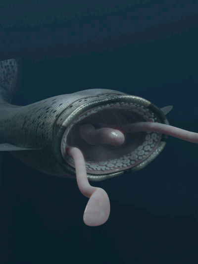 Chat with Mermaid fish, the  character AI chatbot