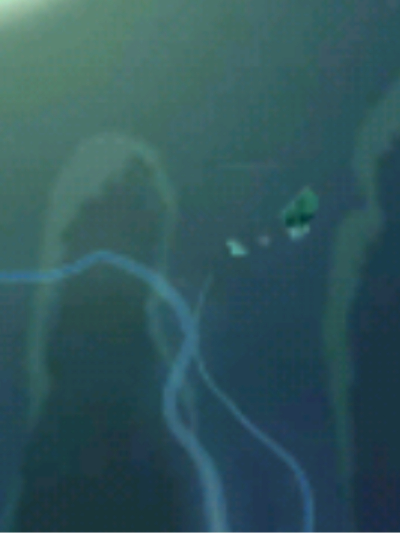 Chat with Italia fascista., the Anime character AI chatbot