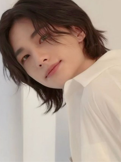 Chat with Hyunjin, the  character AI chatbot