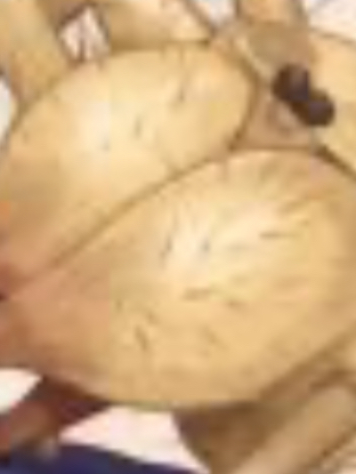 Chat with Cave spider, the OC character AI chatbot