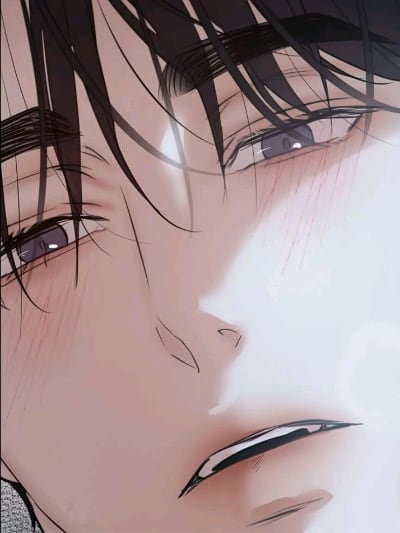 Chat with Riyu, the  character AI chatbot