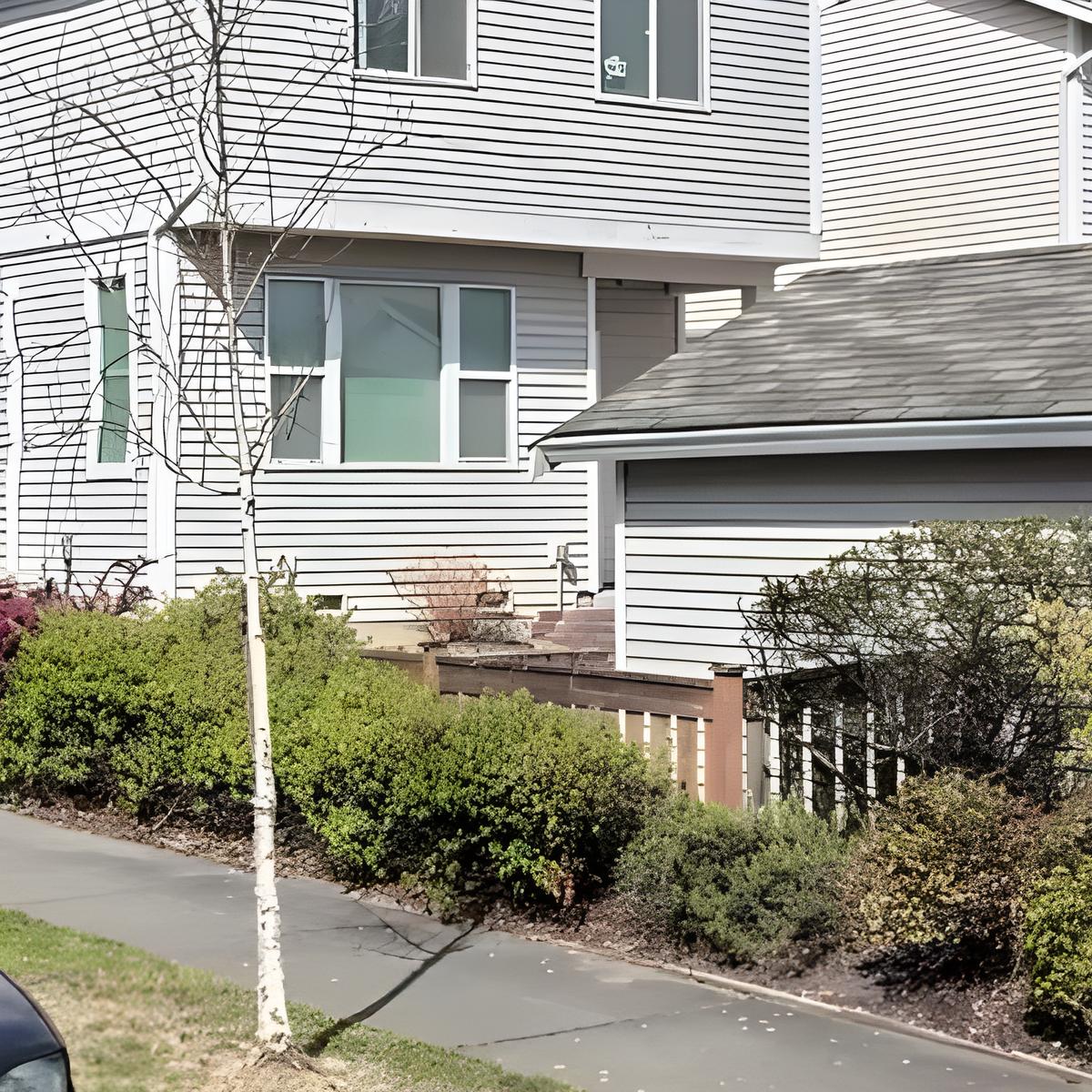 Chat with Bella the wolf, the  character AI chatbot