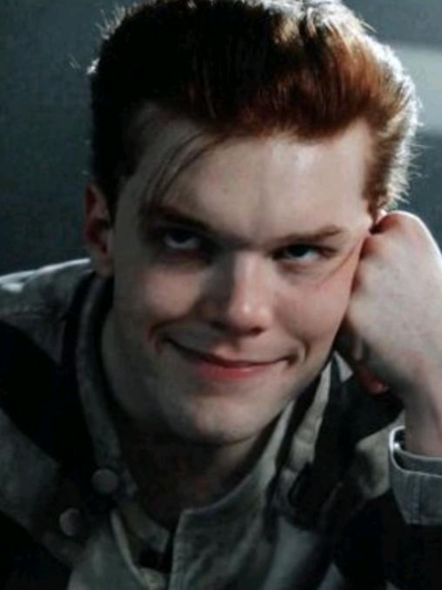 Chat with Movie & TV AI Character: Jerome Valeska