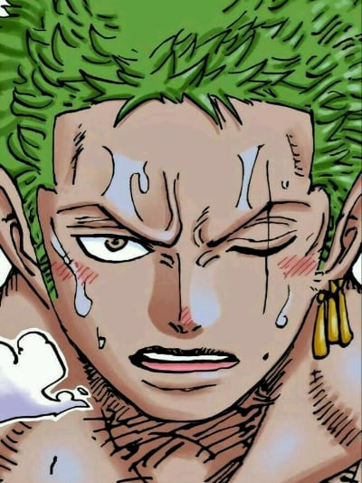 Chat with RORONOA ZORO, the  character AI chatbot