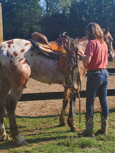 Chat with Lily, the  character AI chatbot