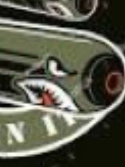 Chat with Torpedo, the  character AI chatbot