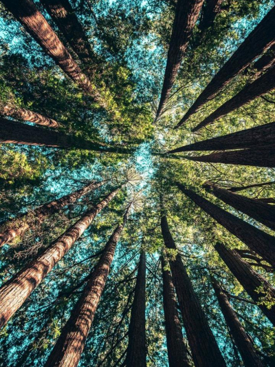 Chat with Lawless world rp, the  character AI chatbot