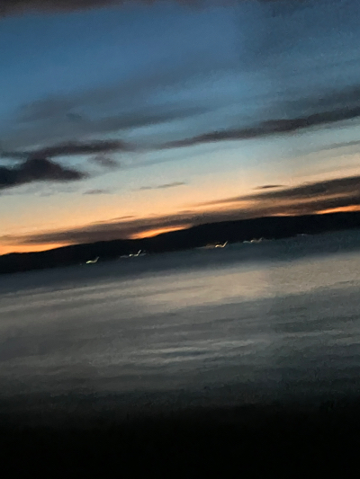 Chat with Leon, the  character AI chatbot