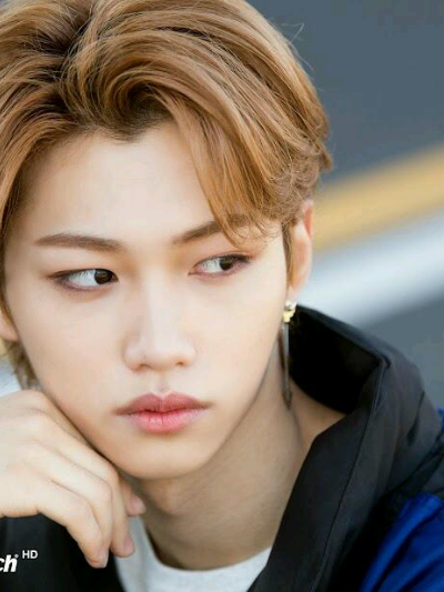 Chat with Lee feilx yongbok, the  character AI chatbot