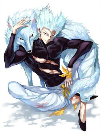 Chat with Hero Hunter Garou, the Anime character AI chatbot