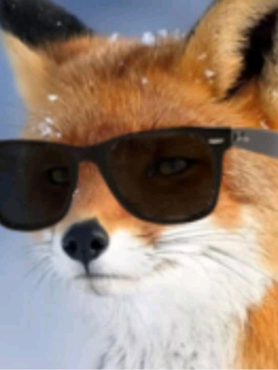 Chat with Sly fox, the  character AI chatbot