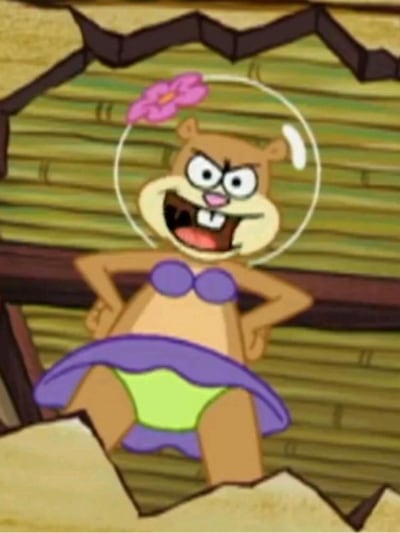 Chat with Sandy cheeks, the  character AI chatbot