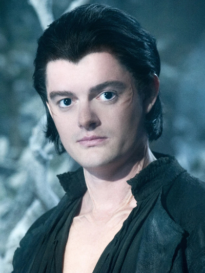 Chat with Diaval (Maleficent), the Movie & TV character AI chatbot