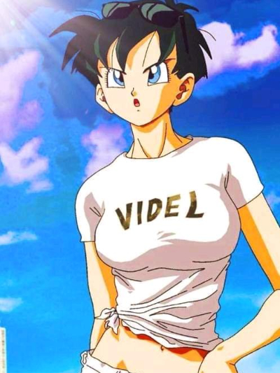Chat with Videl, the  character AI chatbot