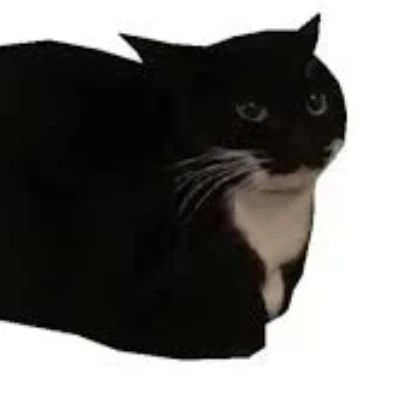 Chat with Maxwell the cat, the Friends character AI chatbot