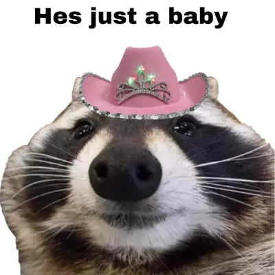 Chat with raccoon, the OC character AI chatbot