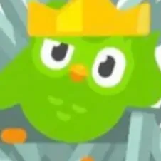 Chat with Duolingo, the Romance character AI chatbot