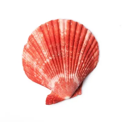 Chat with GatoTheus Chatbot, the OC character AI chatbot