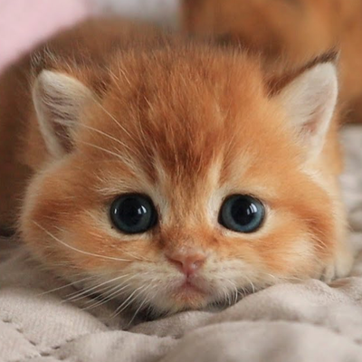 Chat with Geoge, the Friends character AI chatbot