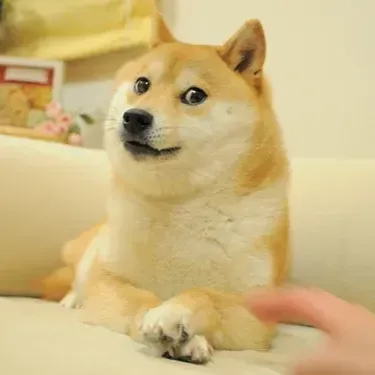 Chat with Shibe Doge, the Celebrity character AI chatbot