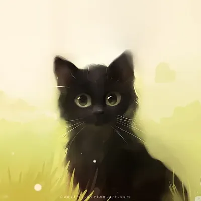 Chat with starry, the Anime character AI chatbot