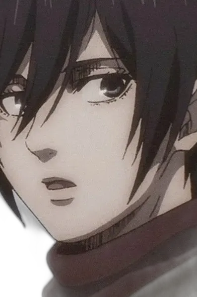Chat with Interactive story AI Character: Mikasa Ackerman