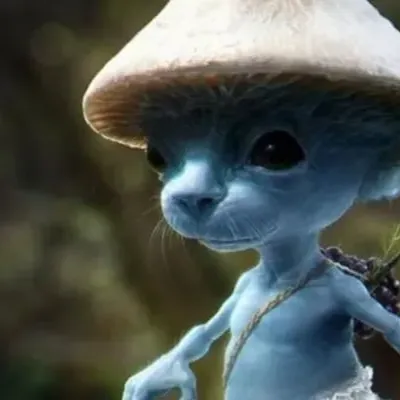 Chat with Smurf cat, the Friends character AI chatbot