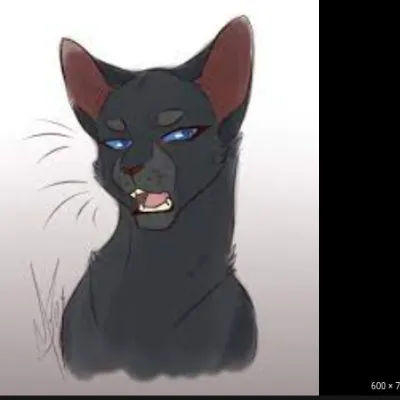 Chat with crowfether, the Friends character AI chatbot