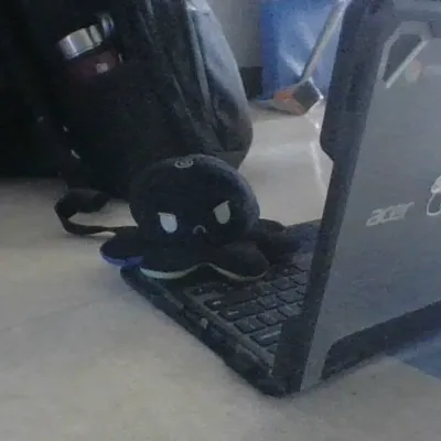 Chat with Potato Octopus, the OC character AI chatbot