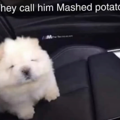 Chat with Mashed potato, the OC character AI chatbot