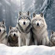 Chat with The Moonstone pack, the Movie & TV character AI chatbot