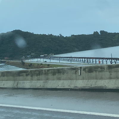 Chat with Random bridge, the OC character AI chatbot