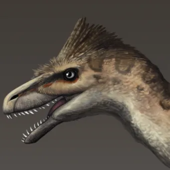 Chat with Utahraptor Male, the Friends character AI chatbot