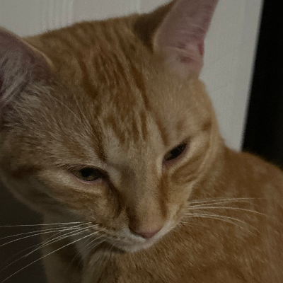 Chat with Zeus, the  character AI chatbot